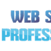 Web Search Professionals